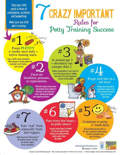 potty training infographic. Pediatric urologist explains rules for potty training, constipation ...