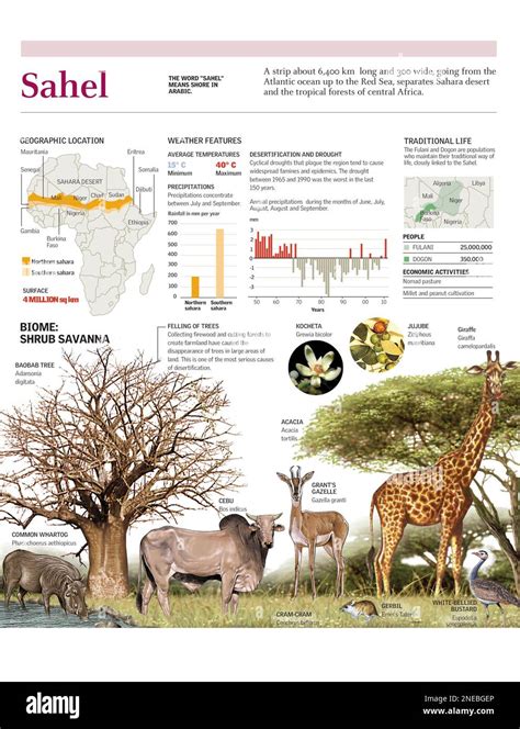 Infographics of the location, climate and the African Sahel biome ...