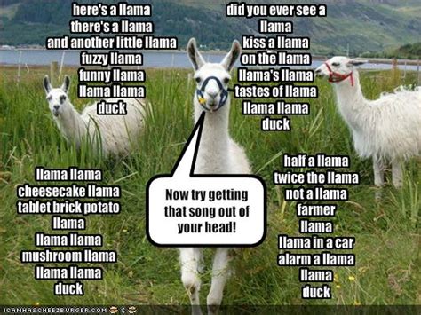 Funny Llama Quotes. QuotesGram