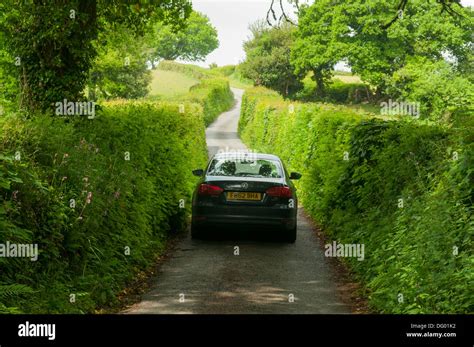 Typical Narrow Road in Devon, England Stock Photo: 61466918 - Alamy