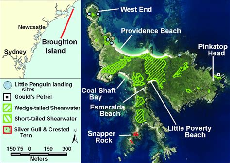 Broughton Island, New South Wales | Download Scientific Diagram