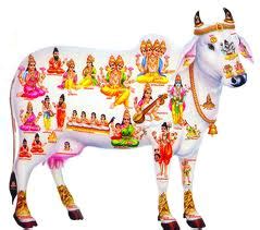 The importance of Gau Mata (the holy mother cow) - Sandipani