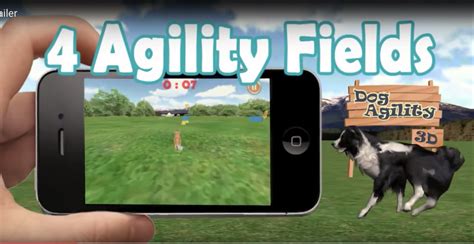 Dog Agility 3D | Melior Games