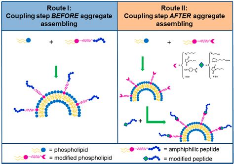 Figure 1 from Peptide-Based Drug-Delivery Systems in Biotechnological Applications: Recent ...