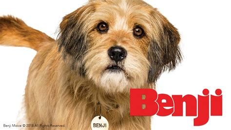 Benji (2018) Theme Song: "Almost Home." 🐶💚 Chords - Chordify