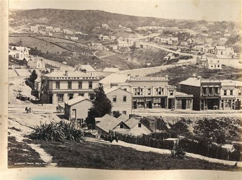 Dunedin from Bell Hill 1864 | Dunedin new zealand, Dunedin, Auckland ...