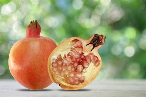 The Eversweet Pomegranate Tree - Minneopa Orchards