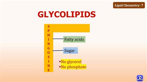 7: Glycolipids | Lipid Chemistry-7 | Biochemistry | N'JOY Biochemistry ...