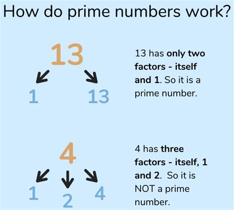 What Is A Prime Number? Explained for Parents, Teachers & Children