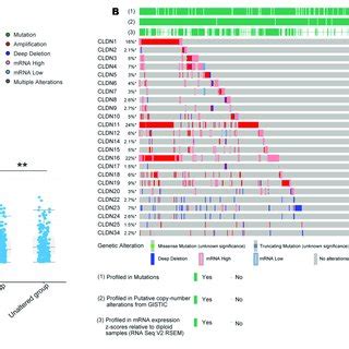 Twenty-four reviewed proteins of claudin family from the UniProtKB ...