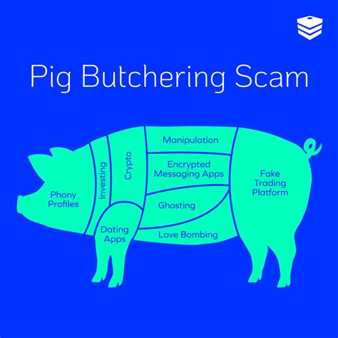 What Is a Pig Butchering Text Scam & How to Avoid It | DOT