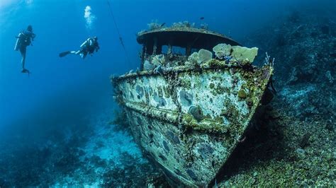 25 Reasons to Dive Roatan Travel 2018 Scuba Diving Magazine Readers Choice Winner About 30 miles ...