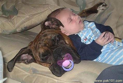 Funny Picture Funny Dog and Baby | Pak101.com