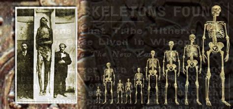 Giant human skeletons found in America | Giant skeleton, Giant skeletons found, Nephilim giants