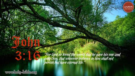Bible Verse of the day – John 3:16 | Holy Bible