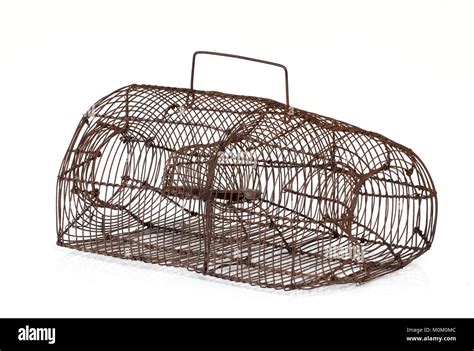 Rat trap cage Cut Out Stock Images & Pictures - Alamy