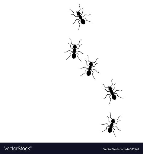 Ant trail marching bug Royalty Free Vector Image