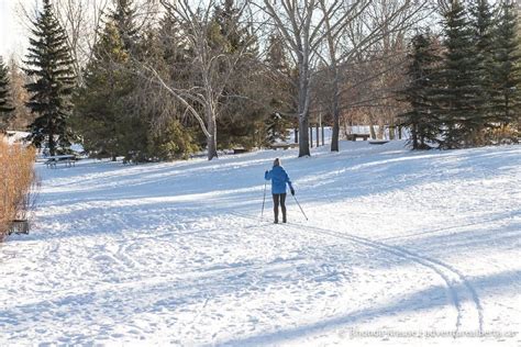 Things to Do in Edmonton in Winter- The Best Edmonton Winter Activities