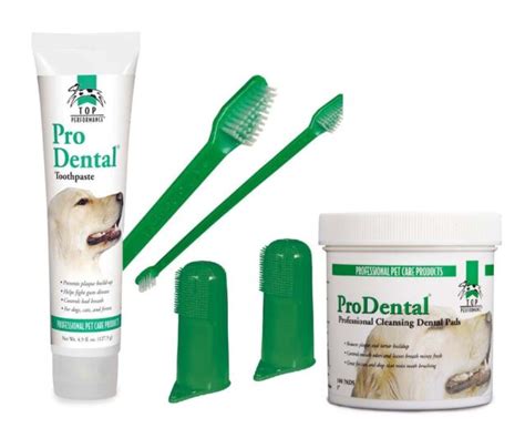 Pet Dental Care Kit Dog Toothbrushes Toothpaste Wipes Oral Hygiene 6 ...