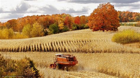 Harvest Autumn Wallpaper Free | Farm life, Scenery, Harvest