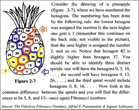 15 best images about Fibonacci Numbers on Pinterest | The golden, Dna ...