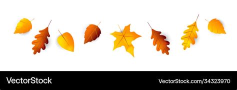 Autumn leaves border collection Royalty Free Vector Image