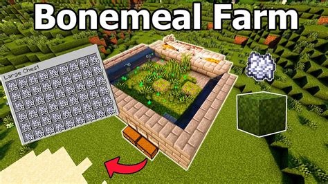 100% AUTOMATIC Best Bonemeal farm Minecraft 1.21! (Bedrock? | Java) - YouTube