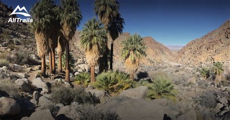 Best Trails near Twentynine Palms, California | AllTrails.com