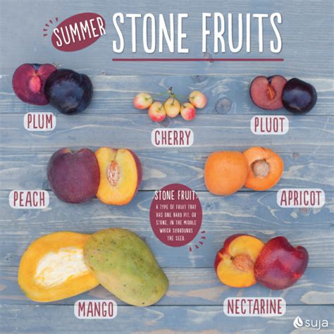 Summer Stone Fruit Health Benefits | Stone fruits, Stone fruit, Fruit ...