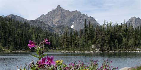 Hiking in Cranbrook, BC