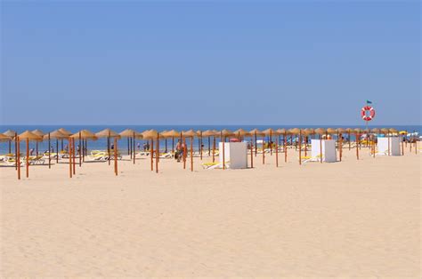 Praia de Monte Gordo Beach, Vila Real de Santo António, Alga