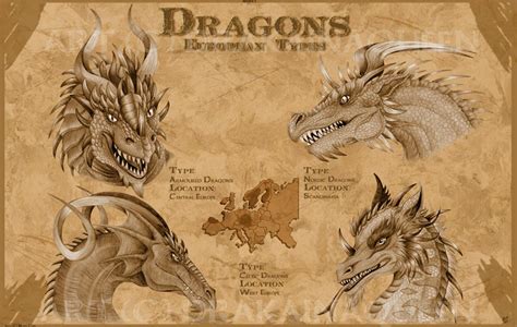 European Dragons -series 1- by DrakainaQueen on DeviantArt