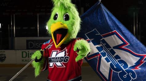 Kalamazoo Wings hold final mascot audition for the next Slappy | WWMT