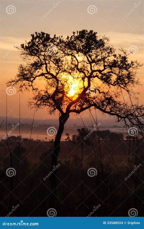 Beautiful Mountain Sunset Scenery Stock Photo - Image of outdoors ...