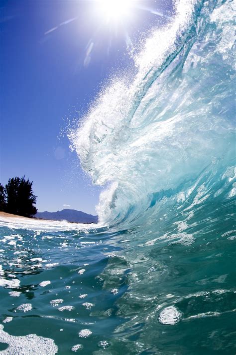 0ce4n-g0d: Shorebreak | coastalcreature at Landscape & Animals | Ocean waves, Waves, Landscape