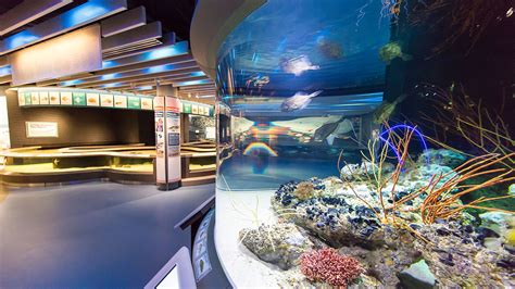 The National Aquarium in Baltimore - kubik maltbie