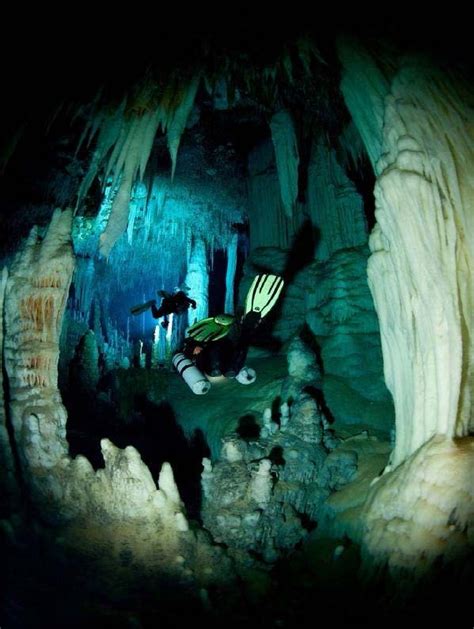 Bahamas Caves Research Foundation | The Bahamas