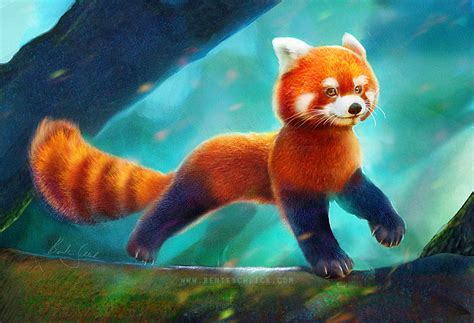 Red Panda – Bente Schlick: Illustrator and Concept Artist | Fantasy Art & Children's Book ...