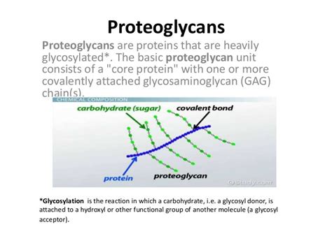 Proteoglycans