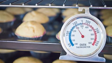 Oven Thermometer: Do You Need One? | Epicurious