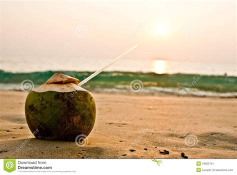 Coconut on the Beach at Sunset Stock Image - Image of bright, painting: 19925741