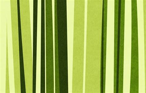 Free download High Resolution Bamboo Simple Texture Wallpaper SiWallpaperHD 15233 [1920x1080 ...