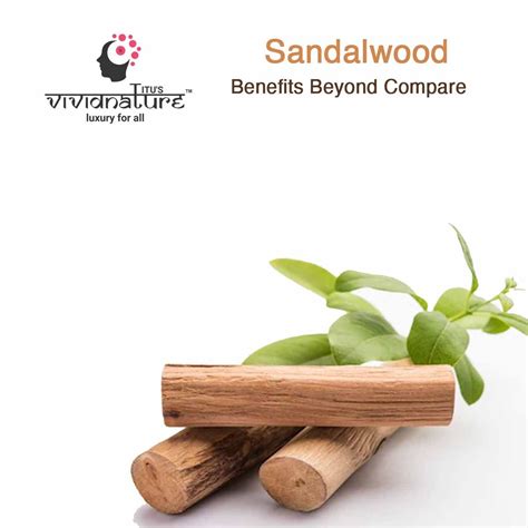 Benefits Of Sandalwood & it's essential oil Sandalwood Benefits, Fragrant, Natural Skin Care ...