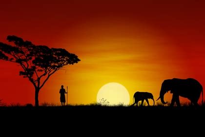 African sunset photo wallpaper. Wall mural from the specialist printers.