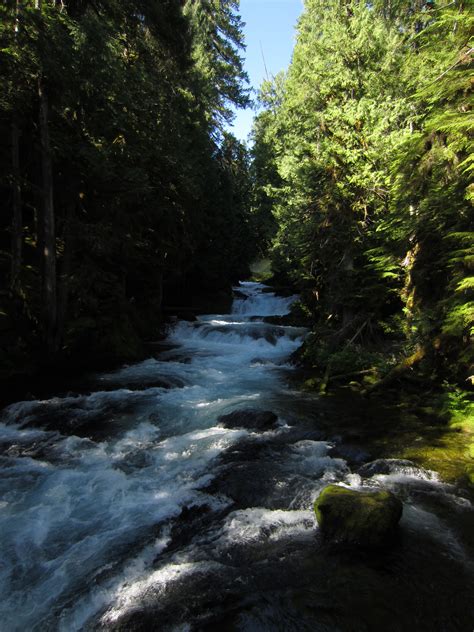 Waterfalls Loop Trail along the McKenzie River – Not Your Average Engineer