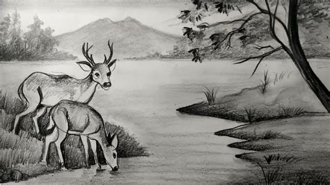 how to draw deer with pencil sketch scenery,how to draw forest scenery,s... | Drawing scenery ...