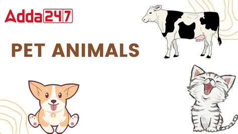 Pet Animals Name, Domestic Animals Name in English & Hindi