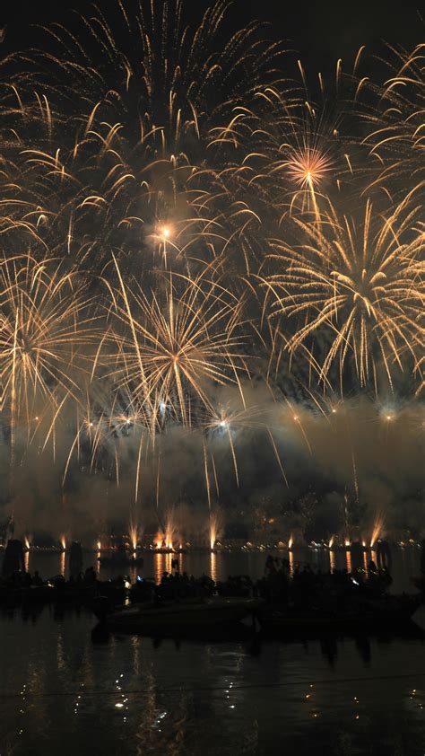 Fireworks in the Night Sky · Free Stock Photo