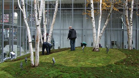 New York Times Building Lobby Garden | The Cultural Landscape Foundation