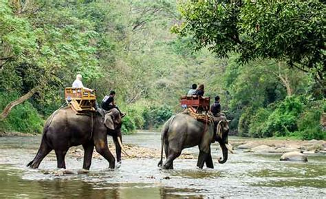 Jim Corbett With Nainital Tour Packages